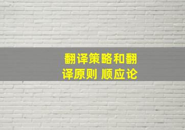 翻译策略和翻译原则 顺应论